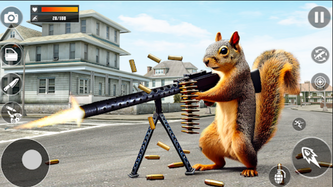 Squirrel with a Gun