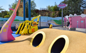 PAW PATROL WORLD