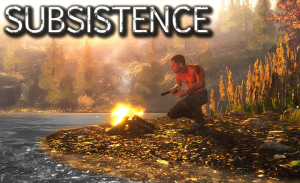 Subsistence