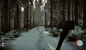 Sons of the Forest